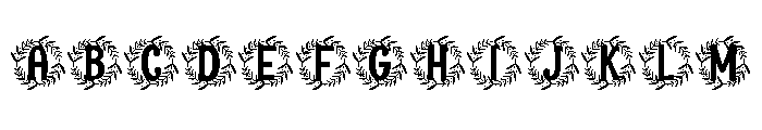 Clarest Monogram FONT