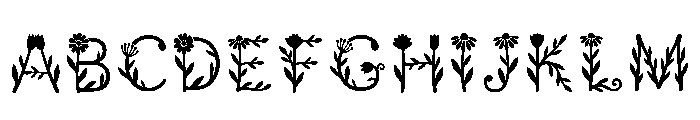Claw Regular FONT