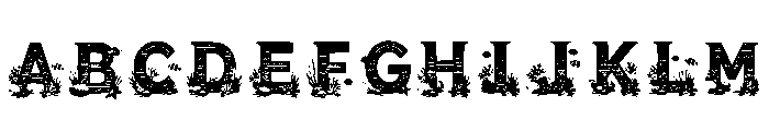 Cloak Regular FONT