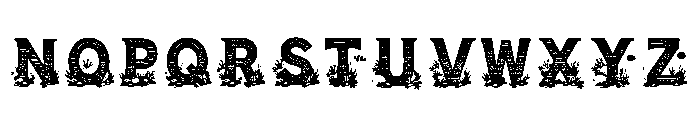 Cloak Regular Font LOWERCASE