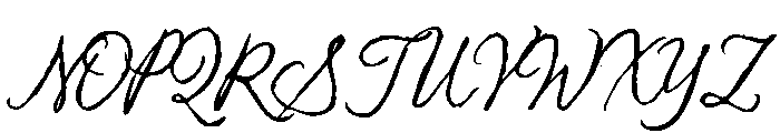 Clover Fields Script Font UPPERCASE