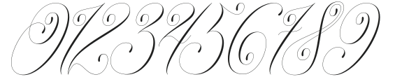 Classical Calligraphy Regular otf (400) Font OTHER CHARS
