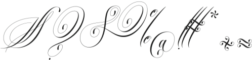 Classical Calligraphy Regular otf (400) Font OTHER CHARS