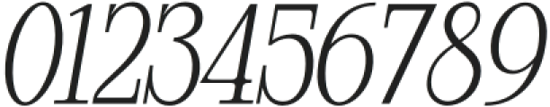 Closed Memory Heavy Italic otf (800) Font OTHER CHARS