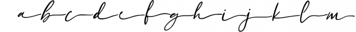 Claudio Wings Feminine Signature Script Font Font LOWERCASE