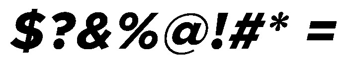 Clarity City 800italic Font OTHER CHARS
