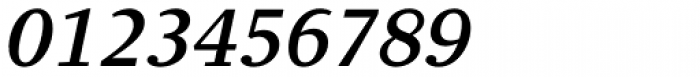 Clara Serif Medium Italic Font OTHER CHARS