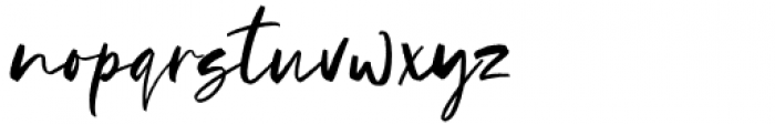 Clarins Script Font LOWERCASE