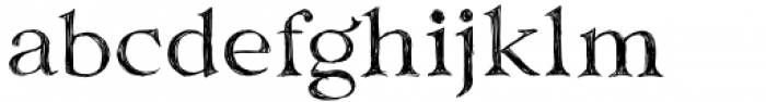 Clarins Serif Font LOWERCASE