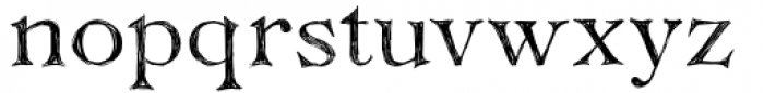 Clarins Serif Font LOWERCASE