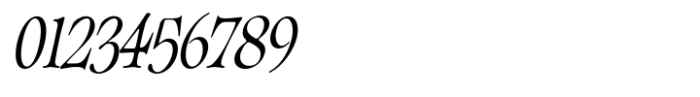Classicel Serif Condensed Italic Font OTHER CHARS