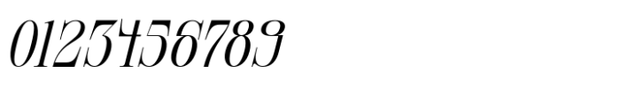 Clerioo Serif Italic Font OTHER CHARS