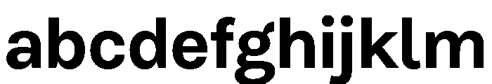 Clara Bold FONT