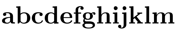 CMU Serif Bold Font LOWERCASE