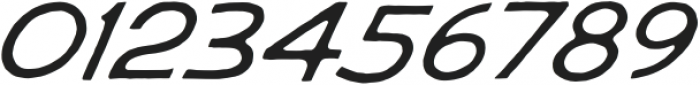 CN Agave Regular Italic otf (400) Font OTHER CHARS