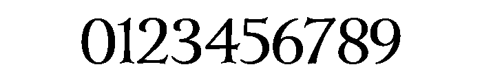 Cochin Bold Font OTHER CHARS