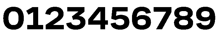 Cofo Sans Pro Devanagari Bold Font OTHER CHARS