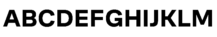 Cofo Sans Pro Devanagari Bold Font UPPERCASE