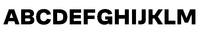 Cofo Sans Pro Devanagari Heavy Font UPPERCASE