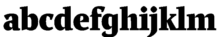 Comma Serif Ultra FONT
