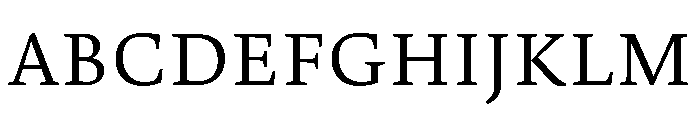 Constantia Light Font UPPERCASE
