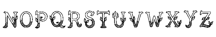Coast Regular Font LOWERCASE