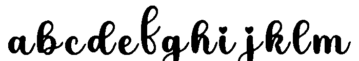 Coati FONT