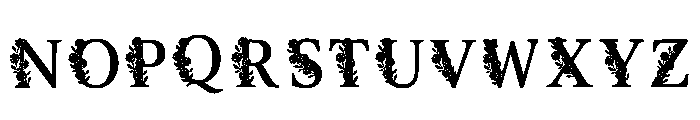 Coihu Regular Font UPPERCASE
