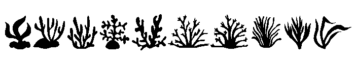 Coral Silhouettes Font OTHER CHARS