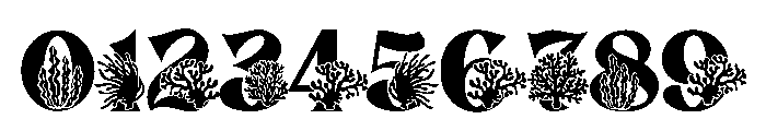 Coral summer Font OTHER CHARS
