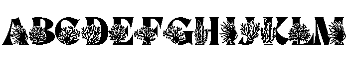 Coral summer Font UPPERCASE