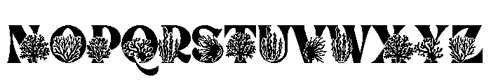 Coral summer Font UPPERCASE
