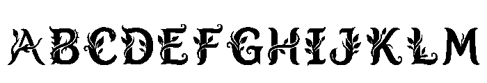 Cory Regular FONT