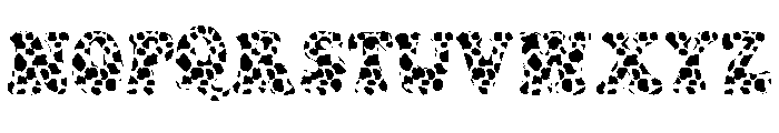 Cow Brown Font Font UPPERCASE