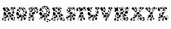 Cow Font Font UPPERCASE