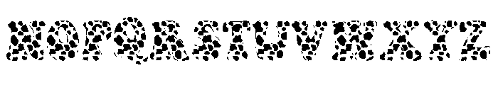 Cow Font Font LOWERCASE