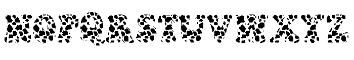 Cow black Font Font LOWERCASE
