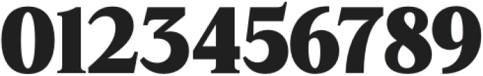 Coldetica Serif Extra Bold Expanded otf (700) Font OTHER CHARS