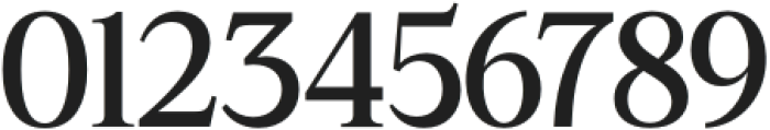 Coldetica Serif Ultra Expanded otf (900) Font OTHER CHARS