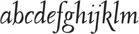 Companion Old Style Italic otf (400) Font LOWERCASE