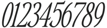 Countryside Thin Italic otf (100) Font OTHER CHARS