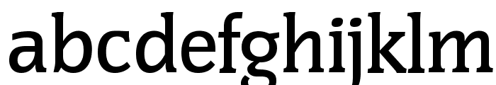 CongressSerial-Medium-Regular Font LOWERCASE