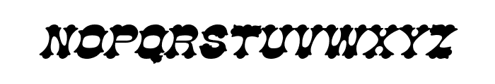 Cowboy Bold Italic Font LOWERCASE