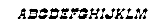 Cowboy Italic Font LOWERCASE