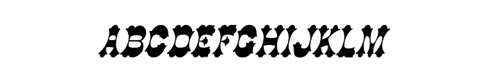 Cowboy Thin Italic Font LOWERCASE