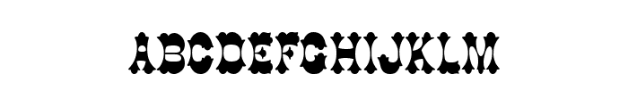Cowboy Thin Normal Font LOWERCASE