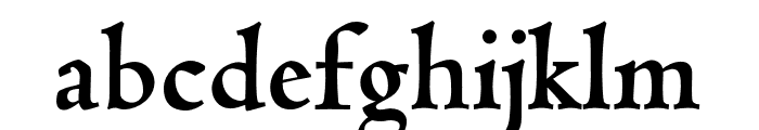 Coelacanth Bold Font LOWERCASE