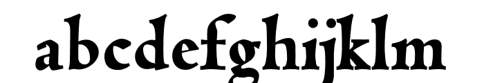 Coelacanth Heavy Font LOWERCASE