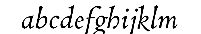 Coelacanth Italic Font LOWERCASE