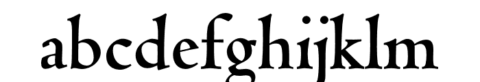 Coelacanth Subheading Bold Font LOWERCASE